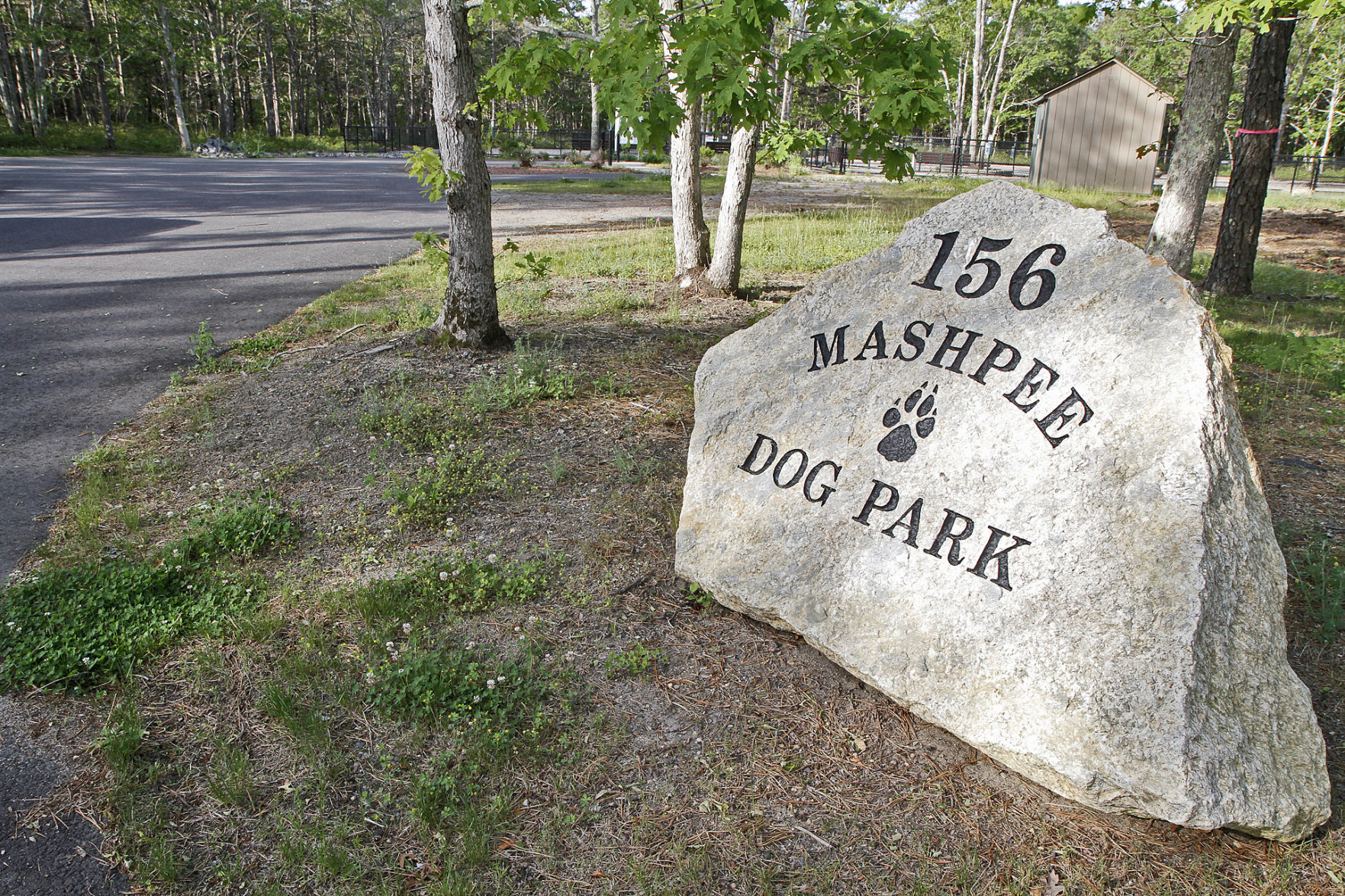 Mashpee Dog Park